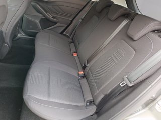 FORD Focus 1.0 EcoBoost Hybrid 125 CV 5p. Active