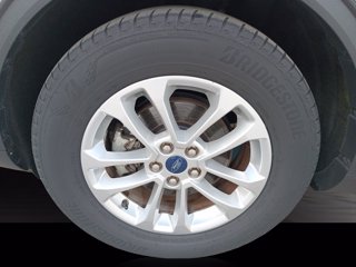 FORD Kuga 1.5 EcoBlue 120 CV 2WD Titanium