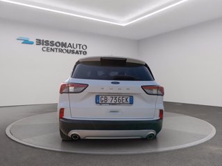 FORD Kuga 1.5 EcoBlue 120 CV 2WD Titanium
