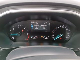 FORD Focus 1.5 EcoBlue 120 CV SW Business