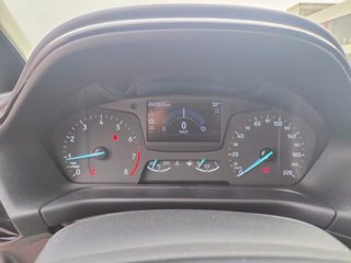 FORD Fiesta 1.0 Ecoboost Hybrid 125 CV 5 porte Titanium