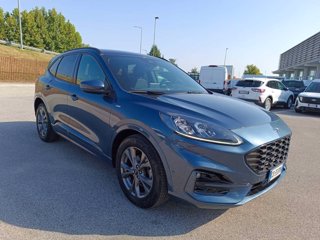 FORD Kuga 2.0 EcoBlue Hybrid 150 CV 2WD ST-Line