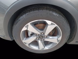 FORD Focus 1.0 EcoBoost Hybrid 125 CV 5p. Active