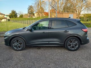 FORD Kuga 2.5 Plug In Hybrid 225 CV CVT 2WD ST-Line X