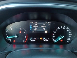 FORD Focus 1.0 EcoBoost 125 CV 5p. Active