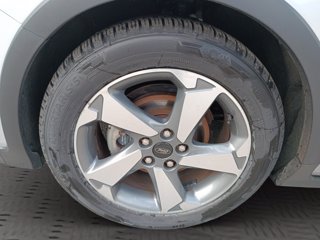 FORD Focus 1.5 EcoBlue 120 CV 5p. Active