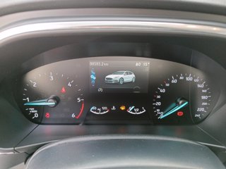 FORD Focus 1.5 EcoBlue 120 CV 5p. Active