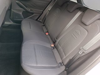 FORD Focus 1.5 EcoBlue 120 CV 5p. Active