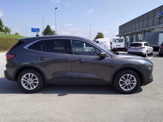 FORD Kuga 1.5 EcoBlue 120 CV 2WD Titanium