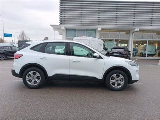 FORD Kuga 2.5 Plug In Hybrid 225 CV CVT 2WD Connect