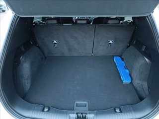 FORD Kuga 1.5 ecoblue ST-Line X 2wd 120cv auto