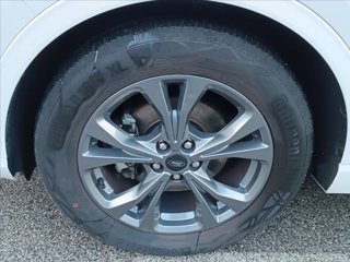 FORD Kuga 1.5 ecoblue ST-Line X 2wd 120cv auto