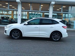 FORD Kuga 1.5 ecoblue ST-Line X 2wd 120cv auto