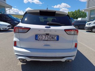 FORD Kuga 1.5 ecoblue ST-Line 2wd 120cv