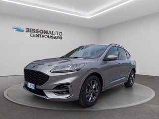 FORD Kuga 1.5 ecoblue ST-Line X 2wd 120cv auto