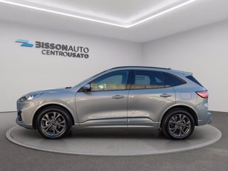 FORD Kuga 2.5 full hybrid ST-Line 2wd 190cv cvt