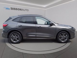 FORD Kuga 1.5 ecoblue ST-Line 2wd 120cv