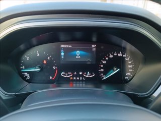 FORD Focus Active 1.5 ecoblue 120cv auto