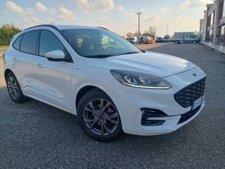 FORD Kuga 1.5 ecoblue ST-Line 2wd 120cv