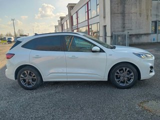 FORD Kuga 1.5 ecoblue ST-Line 2wd 120cv