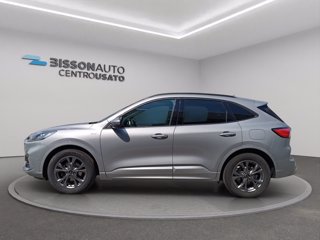 FORD Kuga 1.5 ecoblue ST-Line 2wd 120cv auto