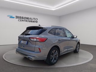FORD Kuga 1.5 ecoblue ST-Line 2wd 120cv auto