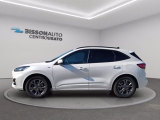 FORD Kuga 1.5 ecoblue ST-Line 2wd 120cv auto