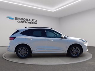 FORD Kuga 1.5 ecoblue ST-Line 2wd 120cv auto