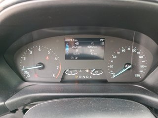 FORD Puma 1.0 ecoboost h Titanium Design s&s 125cv auto