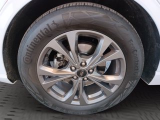 FORD Kuga 1.5 ecoblue ST-Line X 2wd 120cv auto