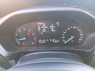 FORD Focus active 1.0 ecoboost h style 125cv