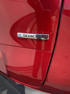 MAZDA Cx-30 2.5 m-hybrid exclusive line 2wd 140cv 6mt