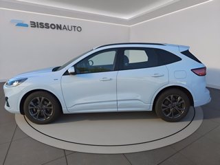FORD Kuga 1.5 ecoblue st-line 2wd 120cv