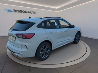 FORD Kuga 1.5 ecoblue st-line 2wd 120cv