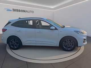 FORD Kuga 1.5 ecoblue st-line 2wd 120cv