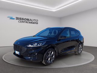 FORD Kuga 1.5 ecoblue st-line 2wd 120cv auto