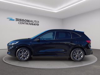 FORD Kuga 1.5 ecoblue st-line 2wd 120cv auto