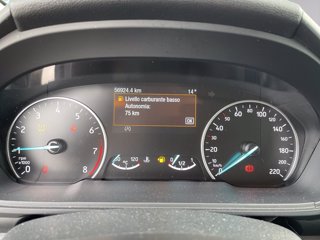 FORD Ecosport 1.0 ecoboost titanium 100cv my19