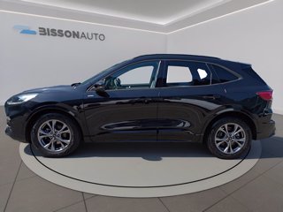 FORD Kuga 2.0 ecoblue st-line x 2wd 120cv auto