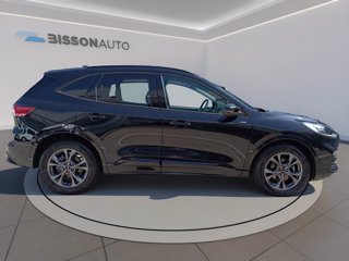 FORD Kuga 2.0 ecoblue st-line x 2wd 120cv auto