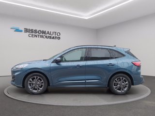 FORD Kuga 1.5 ecoblue st-line 2wd 120cv auto