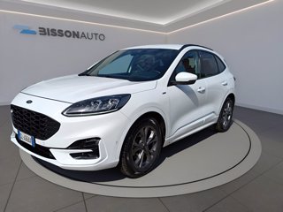 FORD Kuga 1.5 ecoblue st-line x 2wd 120cv auto