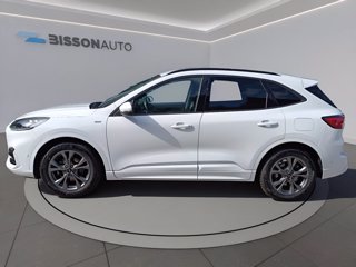 FORD Kuga 1.5 ecoblue st-line x 2wd 120cv auto