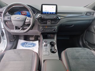 FORD Kuga 1.5 ecoblue st-line x 2wd 120cv auto