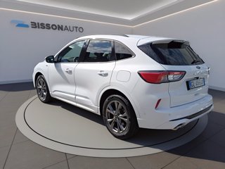 FORD Kuga 1.5 ecoblue st-line x 2wd 120cv auto