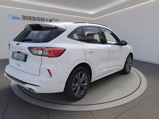 FORD Kuga 1.5 ecoblue st-line x 2wd 120cv auto