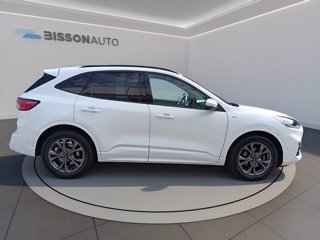 FORD Kuga 1.5 ecoblue st-line x 2wd 120cv auto
