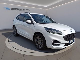 FORD Kuga 1.5 ecoblue st-line x 2wd 120cv auto