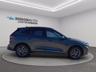 FORD Kuga 1.5 ecoboost st-line 2wd 150cv
