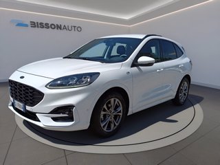 FORD Kuga 1.5 ecoblue st-line x 2wd 120cv auto